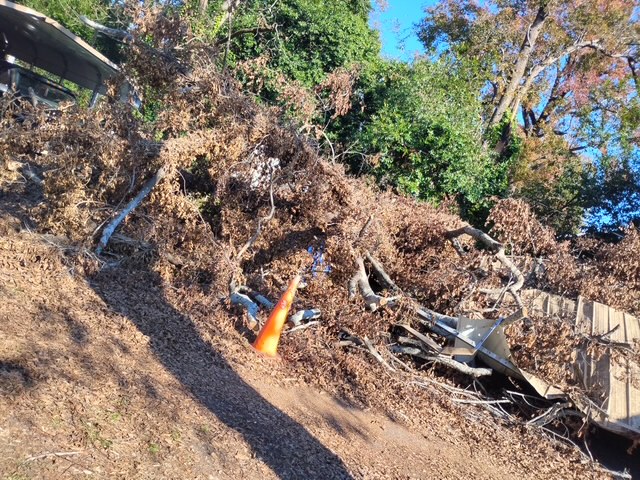 Fencing and Tree Removal Project 5