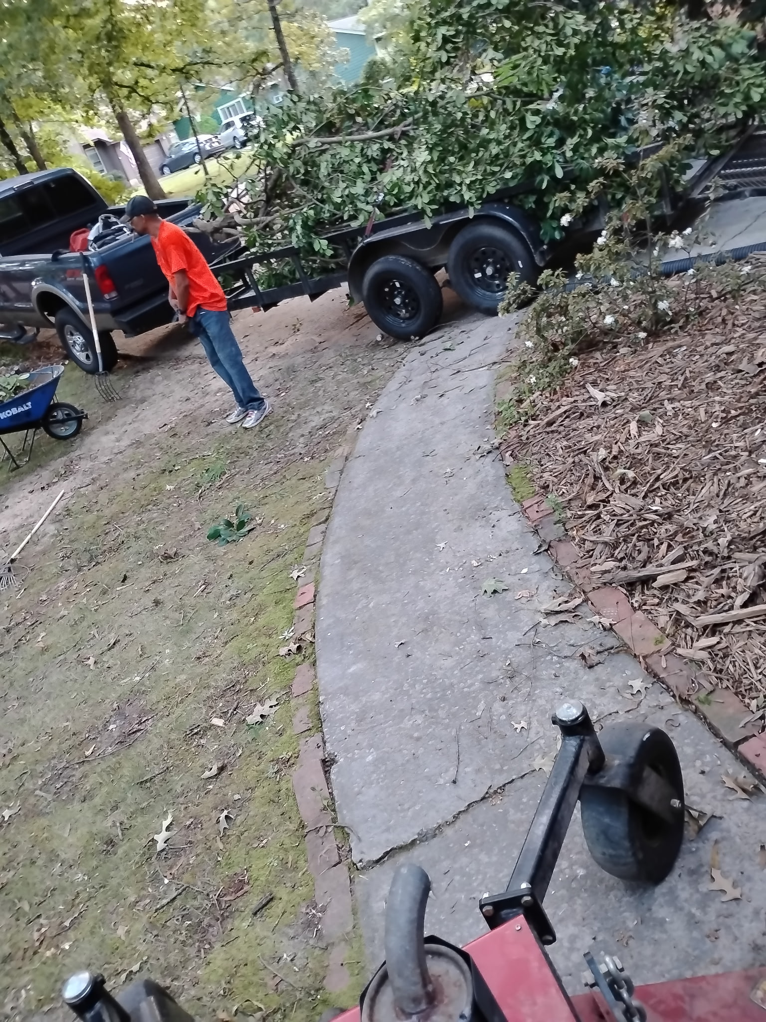 Fencing and Tree Removal Project 6