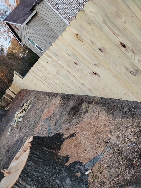 Fencing and Tree Removal Project 8