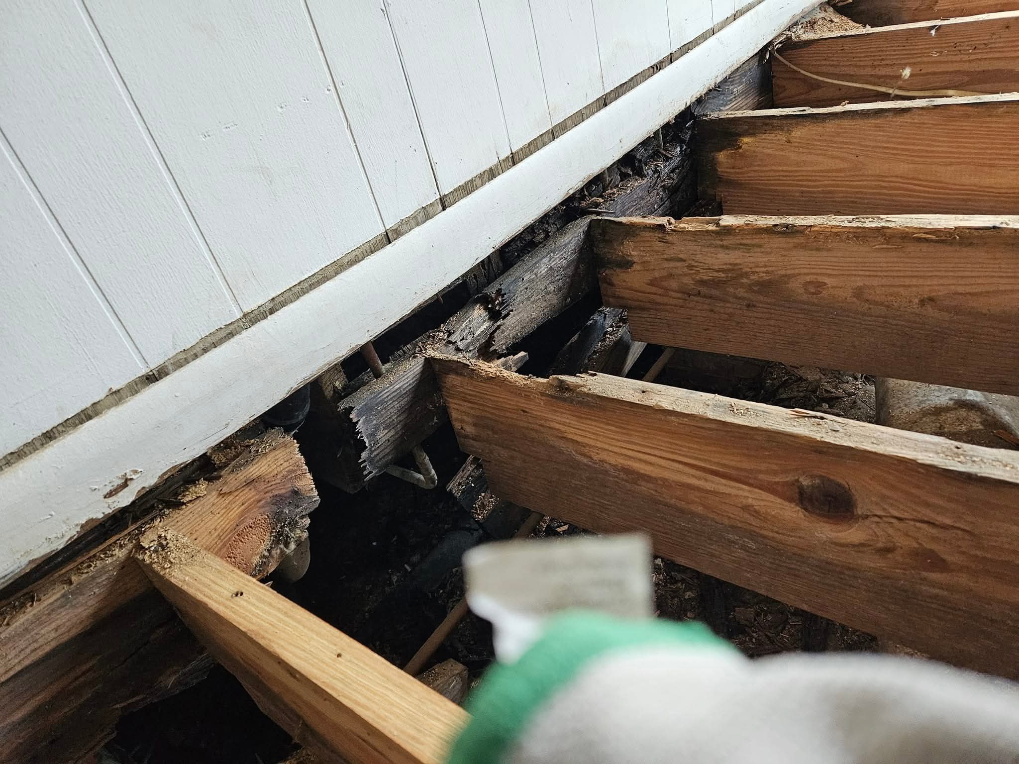 Seal and Flooring Project #1