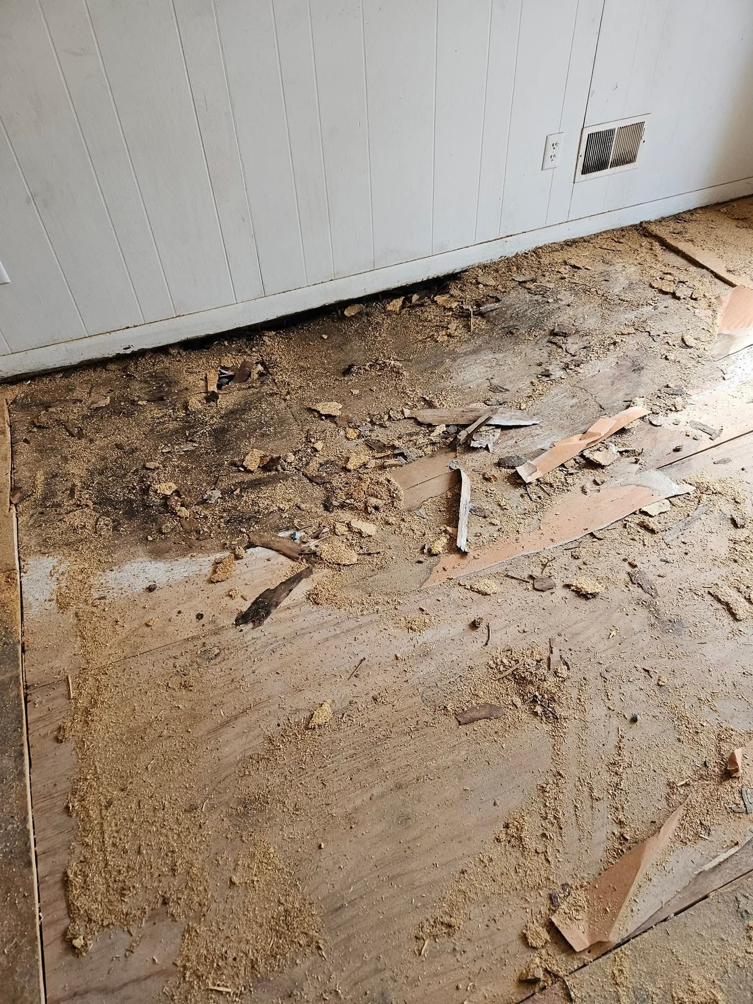 Seal and Flooring Project #6