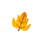 Seasonal Cleanup