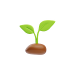 Healthy Lawns
